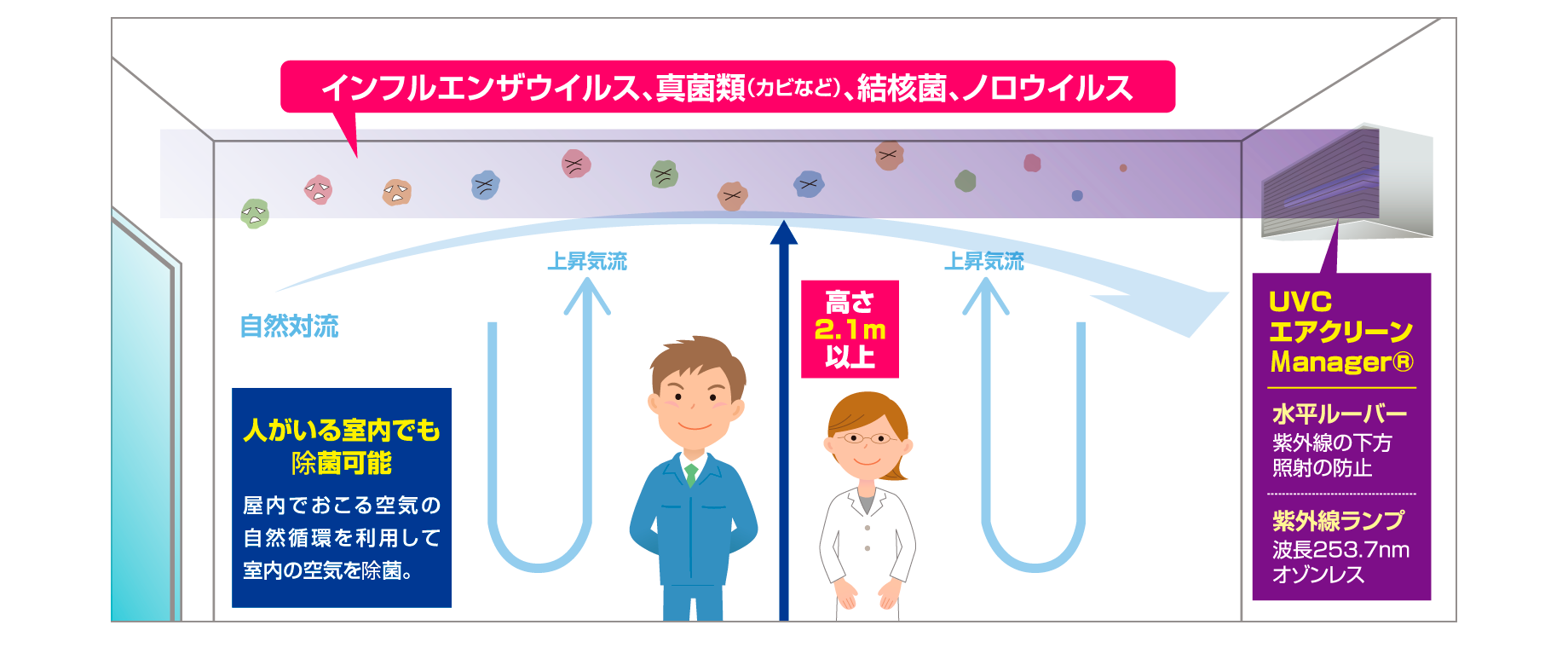 人がいる室内でも除菌可能　屋内で起こる空気の自然循環を利用して室内の空気を除菌。